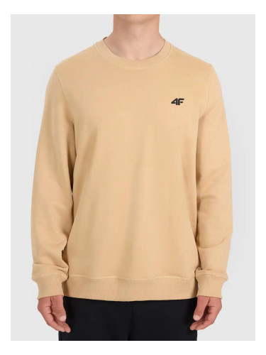 Мъжки суитшърт 4F Dylan