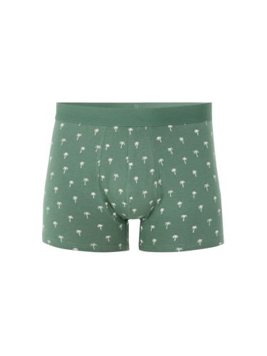 Мъжки боксерки Celio Nibopalma