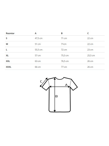 Тениска US POLO ASSN.