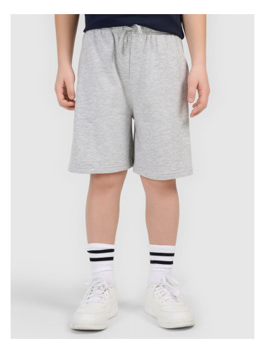 Шорти за момчета 4F Axel