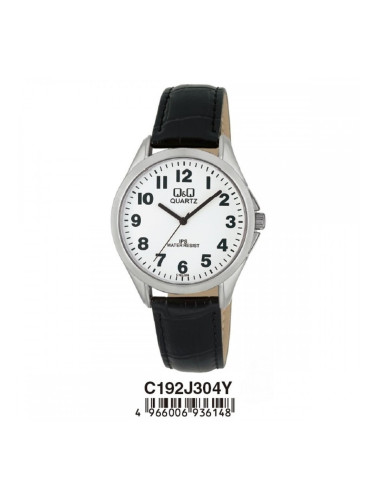 Мъжки часовник Q&Q C192J304Y (Ø 38 mm)