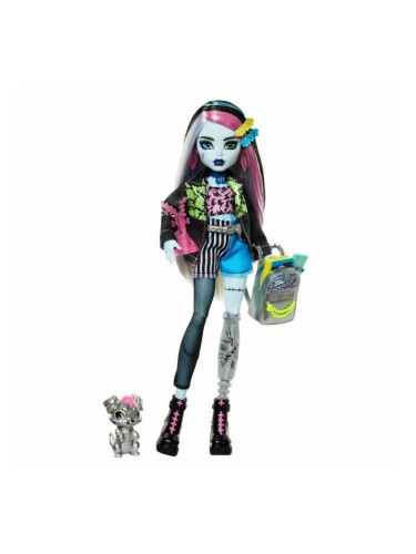 Кукла Бебе с Аксесоари Monster High Frankie Stein