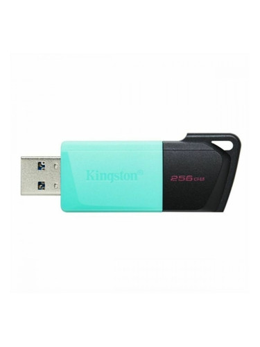 USB стик Kingston DTXM/256GB Черен 256 GB
