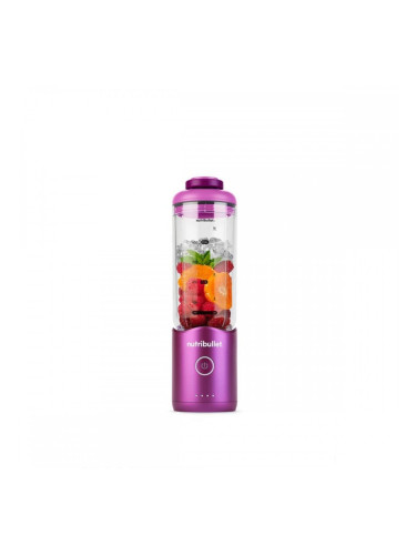 Блендер с чаша Nutribullet NBP013GM Сив 600 ml