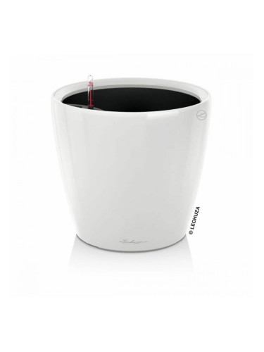 Саксия Lechuza