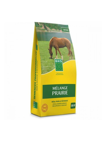 Семена BHS 5 kg