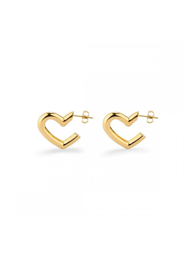 Дамски обеци Radiant RY000337 Златен