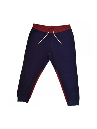 Панталон за Футболна Тренировка за Възрастни F.C. Barcelona Blaumarí Син Мъже - L