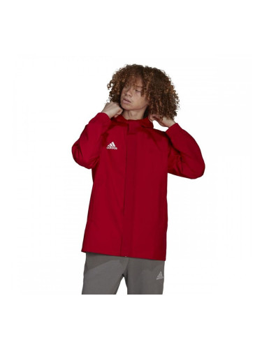 Мъжко Спортно Яке Adidas Entrada 22 Червен - L