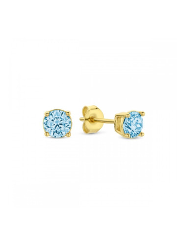 Дамски обеци New Bling HIN00336 Златен