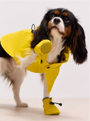 Mohito - Кучешки обувки - жълто