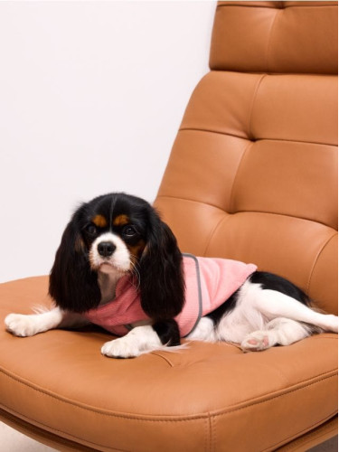 Mohito - Кучешко яке - пастелно розово