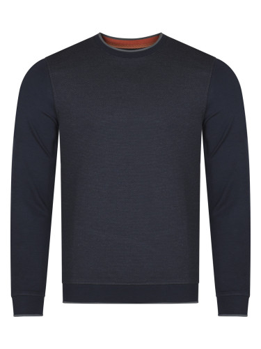 Мъжки пуловер Ted Baker