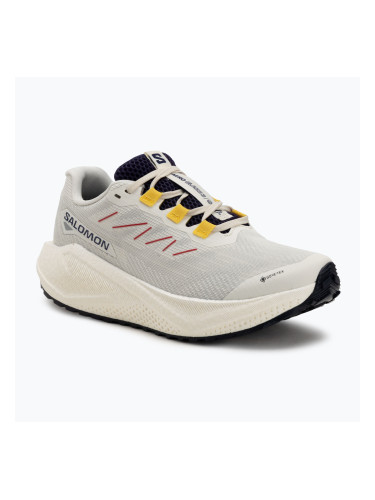 Дамски обувки за бягане Salomon Aero Blaze 3 Gravel GTX vanilla ice/astral aura/lemon