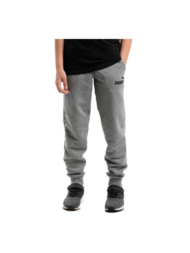 PUMA Essentials Logo Pants Grey