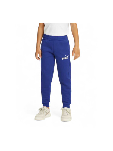PUMA Essentials 2 Color Logo Track Pants Blue