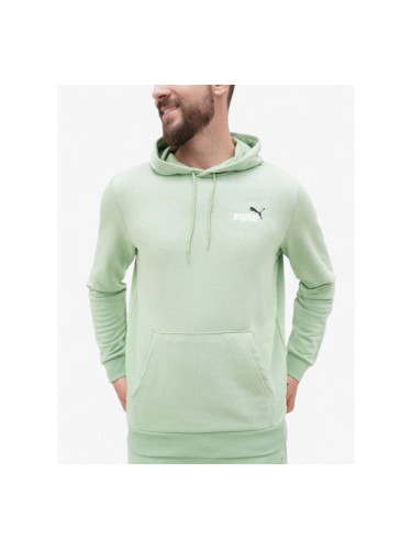 PUMA Essentials+ 2 Color Logo Hoodie Green
