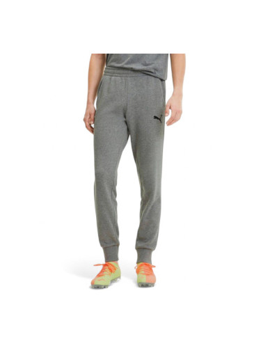 PUMA TeamGoal 23 Casuals Pants Grey