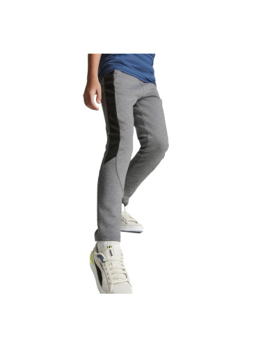  PUMA Evostripe Pants Grey B