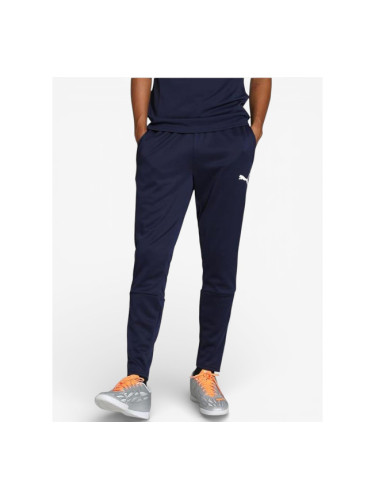PUMA Тeam Liga Training Football Pants Blue
