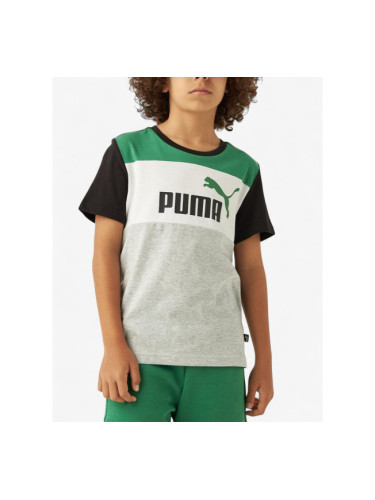 PUMA Essentials+ Colorblock Tee Grey/Green