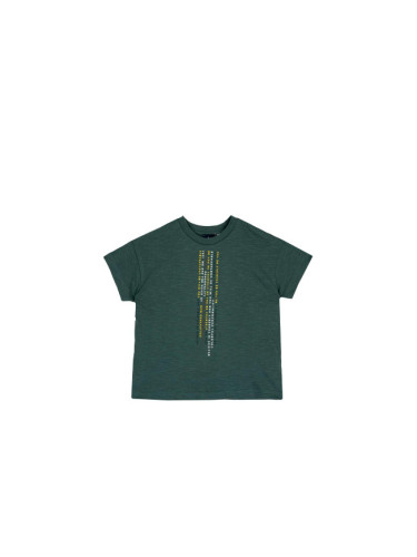 CHICCO Unisex Tee Medium Green