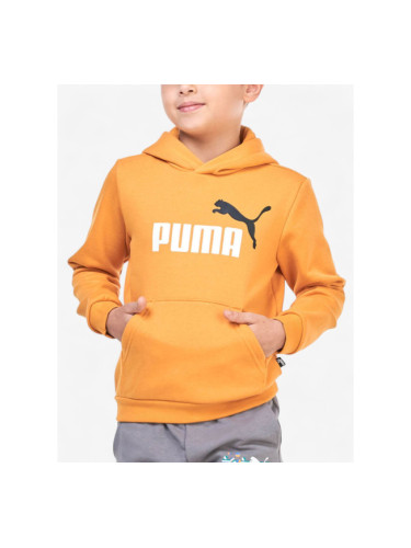 PUMA Essentials+ 2 Color Big Logo Hoodie Orange