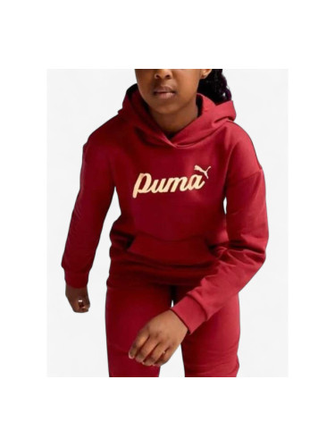 PUMA Essentials+ Script Metallic Hoodie Red