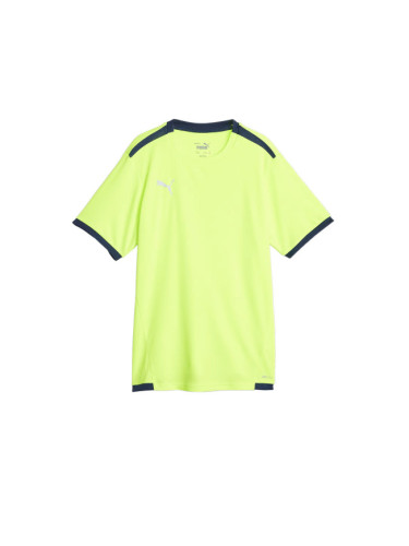 PUMA TeamLiga DryCell Football Tee Green