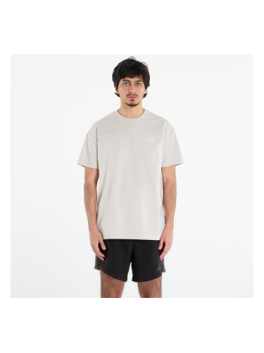 Тениска adidas Terrex Xploric Climacool Graphic T-Shirt Wonder Alumina L