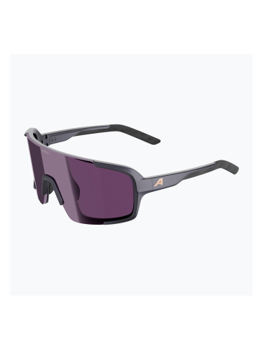 Слънчеви очила Alpina Lumin gun/metall matt/pink