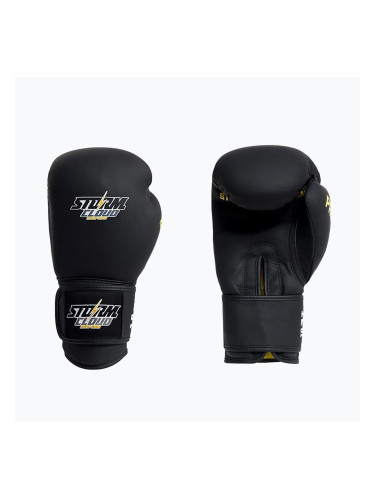 Боксови ръкавици StormCloud Boxing Pro black