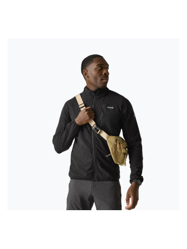 Мъжки поларен суитшърт REGATTA Fleece Scaris ash