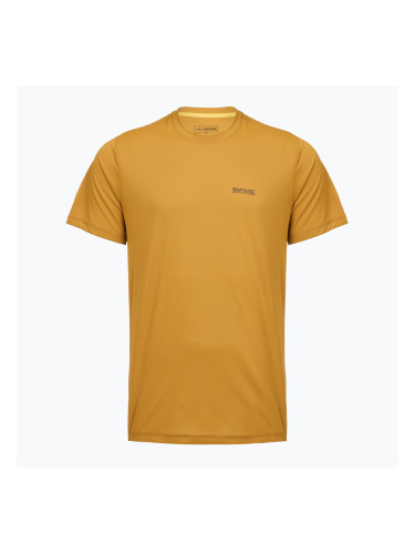 Мъжка трекинг тениска REGATTA Mindoi Anti Insect wood brown