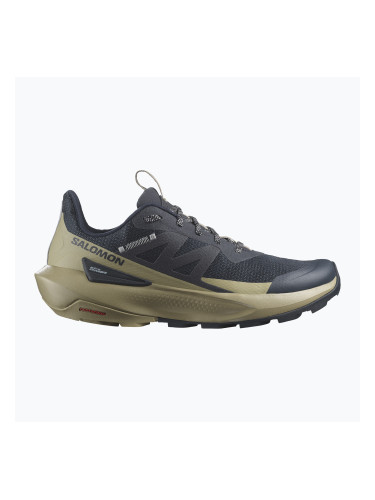 Мъжки туристически обувки Salomon Elixir Activ carbon/slate green/glacier