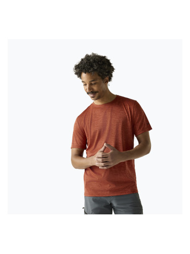 Мъжка тениска за трекинг REGATTA Fingal Edition rusty orange