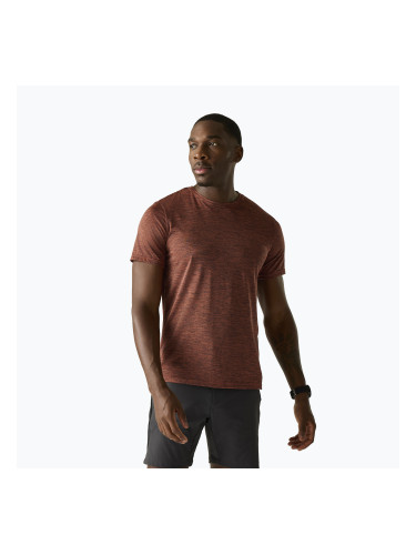 Мъжка тениска за трекинг REGATTA Fingal Edition brick