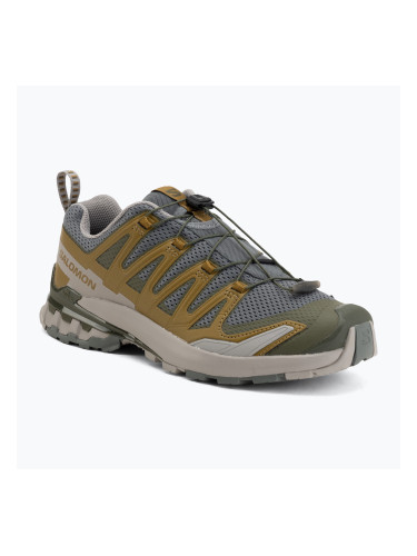 Мъжки обувки за бягане Salomon XA Pro 3D V9 sedona sage/plantation/paloma