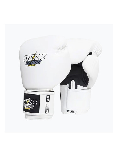 Боксови ръкавици StormCloud Blizzard white/black