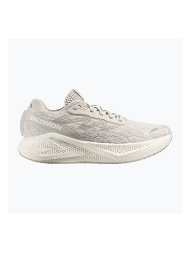 Мъжки обувки за бягане Salomon Aero Glide 4 silver/silver/white