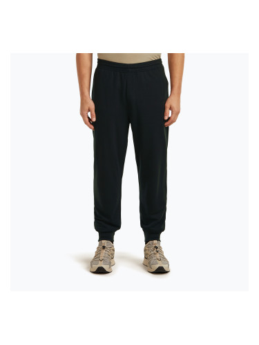 Мъжки панталони за трекинг Icebreaker Merino 200 Shifter black