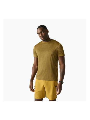Мъжка тениска за трекинг REGATTA Fingal Edition wood brown