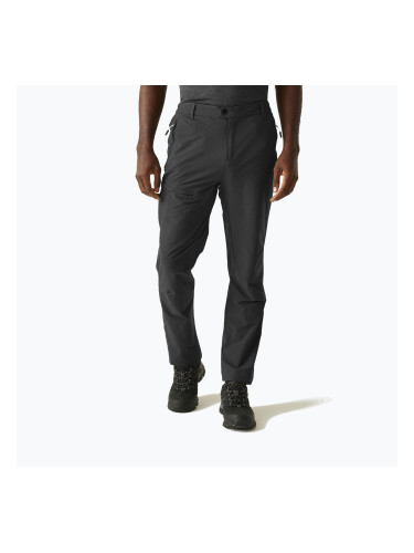 Мъжки панталони за трекинг REGATTA Highton II ash