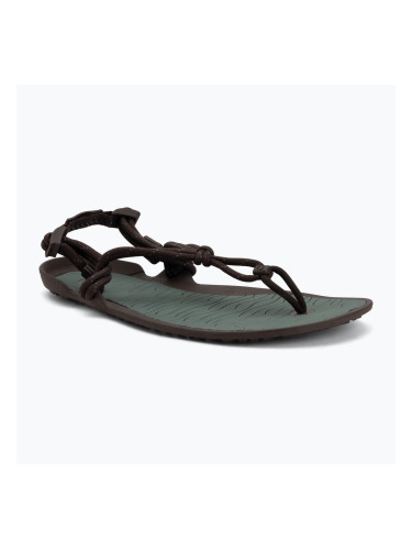 Мъжки сандали barefoot Xero Shoes Aqua Cloud java/brown/dark/forest