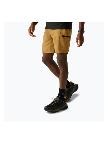 Мъжки шорти за трекинг REGATTA Leesville III wood brown