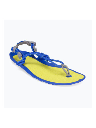 Мъжки сандали barefoot Xero Shoes Aqua Cloud safety/yellow