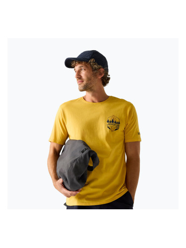 Мъжка тениска Regatta ClineIX ceylon yellow