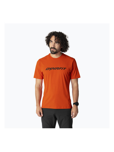 Мъжка тениска за трекинг DYNAFIT Traverse alabama