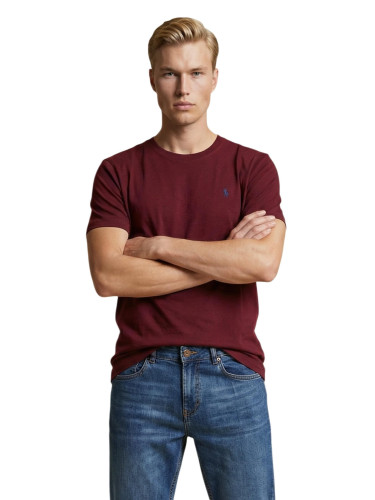 Мъжка тениска US Polo Assn.