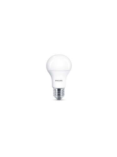 LED КРУШКА 10W/E27